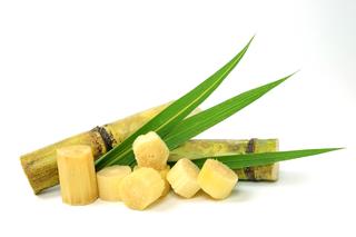 Policosanol from Sugar Cane