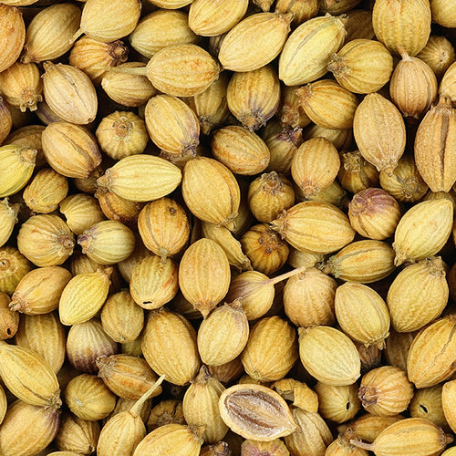 Coriander Can Lower Cholesterol