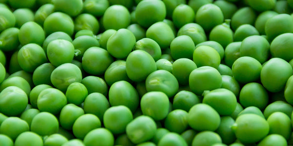 Green Peas Are Heart-Health Powerhouses