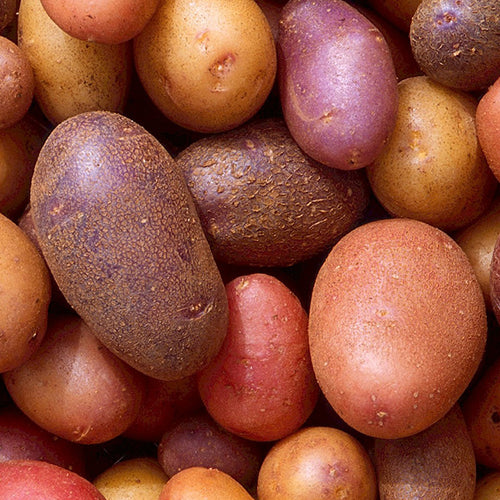 Are Potatoes Healthy?