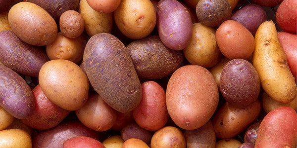Are Potatoes Healthy?