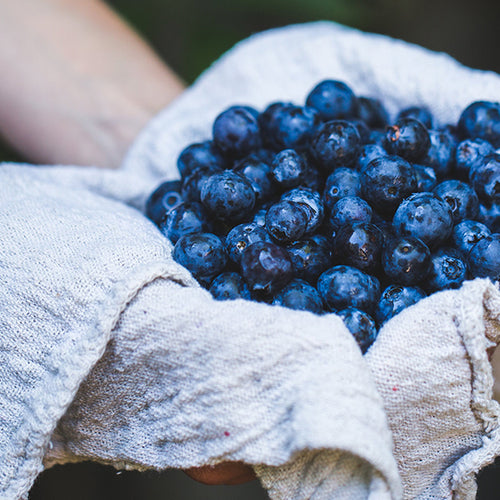 Blueberries May Aid Heart Health