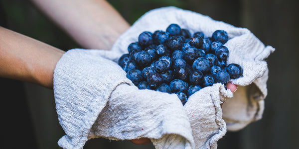 Blueberries May Aid Heart Health