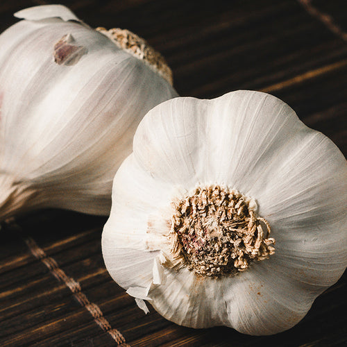 Garlic May Help Cholesterol