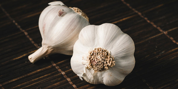 Garlic May Help Cholesterol