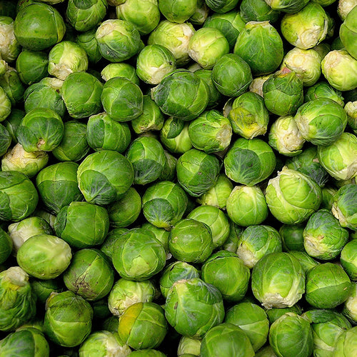 You Can Reprogram Your Mouth to Like Bitter Flavors