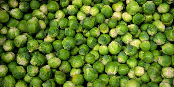 You Can Reprogram Your Mouth to Like Bitter Flavors