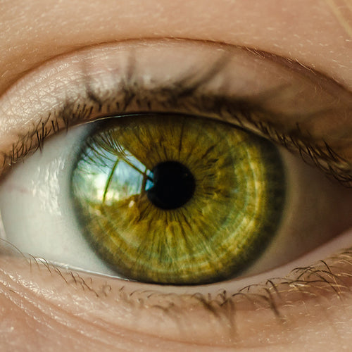 Cholesterol Can Pose Vision Risk