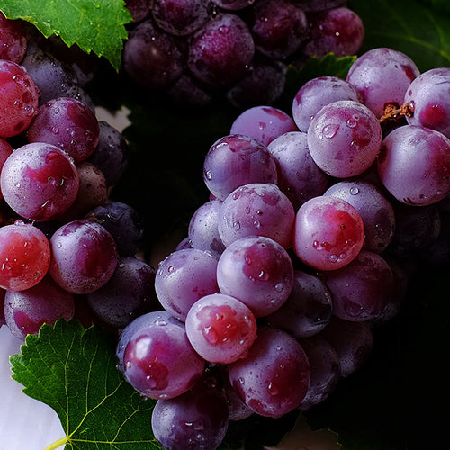 How Grapes Help Cholesterol