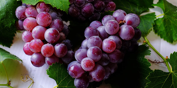 How Grapes Help Cholesterol
