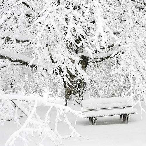 Protect Your Heart from Cold Weather