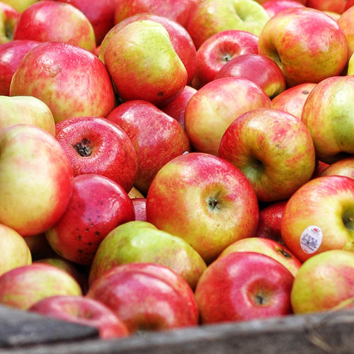 Two Apples a Day Keep Heart Problems at Bay