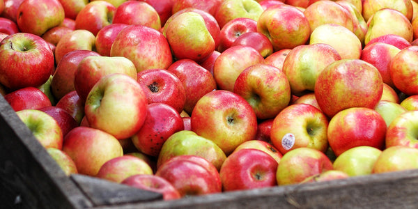 Two Apples a Day Keep Heart Problems at Bay