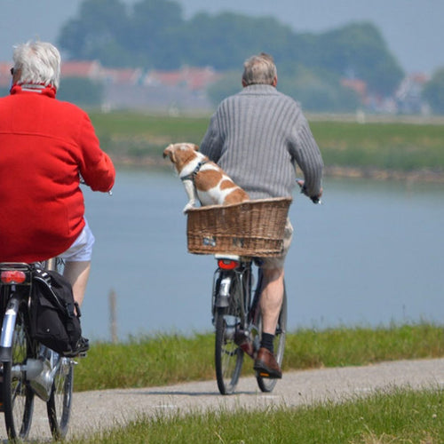 Diet, Exercise Aid Cognition