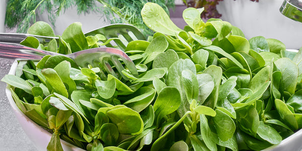 Leafy Greens Can Help Cholesterol