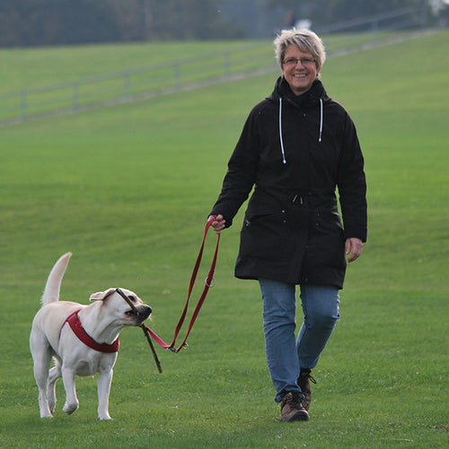 Does Social Distancing Cancel Your Daily Walk?