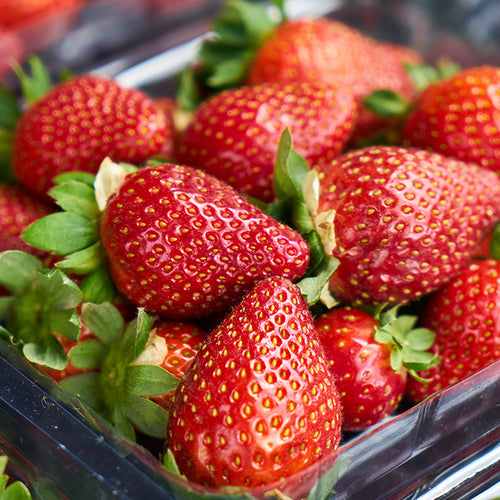 Check Out the “Dirty Dozen” List of Foods with the Most Pesticides