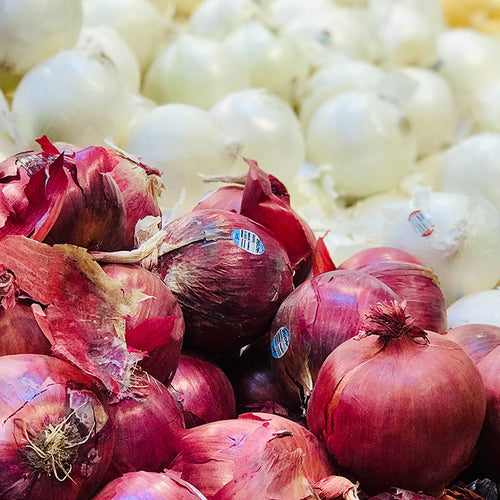 Onions Aren’t Just Delicious: They’re Great for Cholesterol