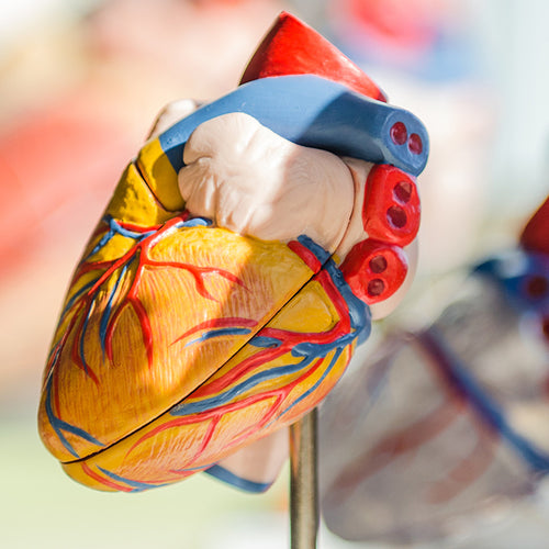 More Studies Show COVID-19 Has Long-term Heart Impact