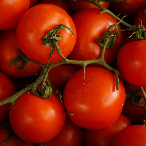 Tomatoes Can Help Lower Cholesterol
