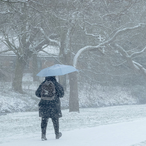 A Nordic Idea Can Help Us Get Through the Winter