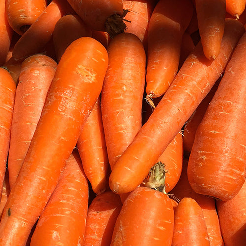 Favorite Holiday Dish Can Help Cholesterol!