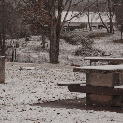 Safer Things to Do This Christmas